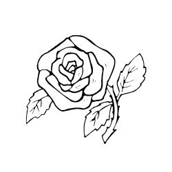 Rose 03 - Motif à décorer