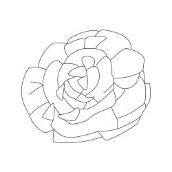 coloriage légume : un poireau 
