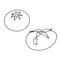 Coloriage reproduction du fraisier