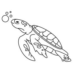 Coloriage d'une tortue de terre