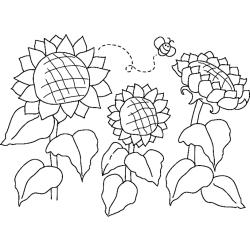 Roses 03 - Motif à décorer
