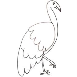 Coloriage agami