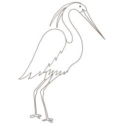 coloriage d'une aigrette