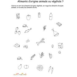 Imprimer la fiche sur les différentes sortes d'aliments