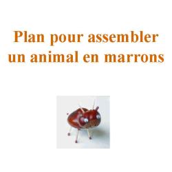 plan de montage d'un animal en marrons couverture