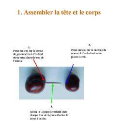 plan de montage d'un animal en marrons page 2