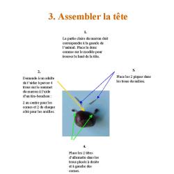 plan de montage d'un animal en marrons page 4
