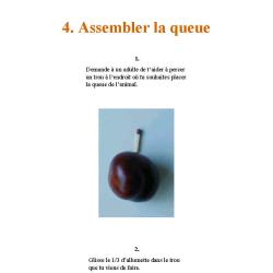  montage d'un animal en marrons page 5