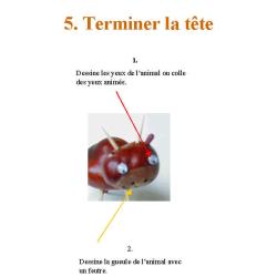 montage d'un animal en marrons page 6 