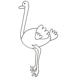 Coloriage d'une autruche