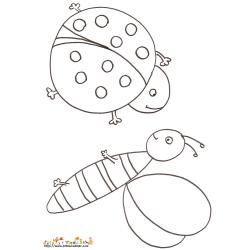 Abeille et coccinelle