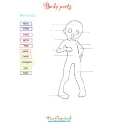 Exercice anglais : Body Parts
