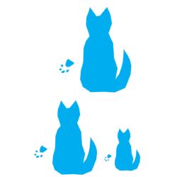 Imprimer le modèle pour la boîte chats