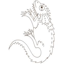 coloriage d'un cameleon - dessin 1