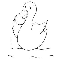 coloriage d'un canard de la ferme 2