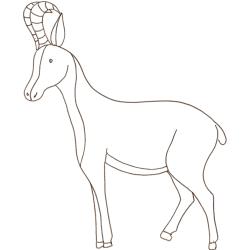 coloriage d'un chamois