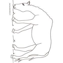 Coloriage d'un cheval qui mange