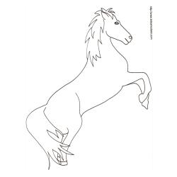 Coloriage d'un cheval dressé dessin 23