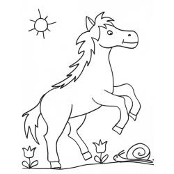 coloriage d'un cheval 5 dans les fleurs