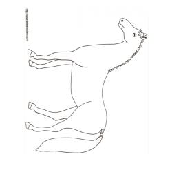 Imprimer le coloriage d'un cheval dessin 15