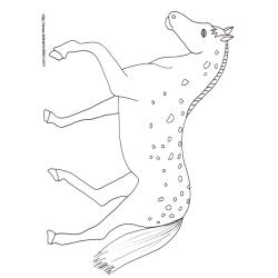 Imprimer le coloriage d'un cheval tachete