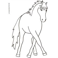 Coloriage d'un cheval de face 