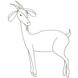 Coloriage chèvre
