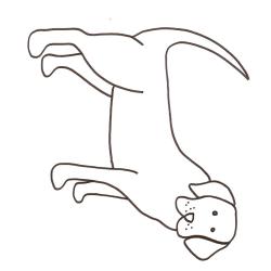 coloriage d'un chien de chasse