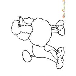Coloriage d'un grand caniche