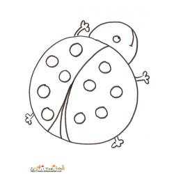Coloriage grosse coccinelle