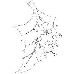 Coloriage de la coccinelle sur la feuille