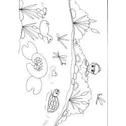 Coloriage de la mare aux canards et enfant