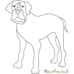 Coloriage d'un bouledogue