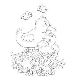Coloriage des bébés canards 