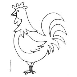 Coloriage d'un coq de la ferme