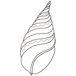 Retrouvez un coloriage de coquillage pointu et imprimez un dessin aux enfants qui aiment la plage et la mer