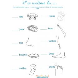 Vocabulaire sur le corps