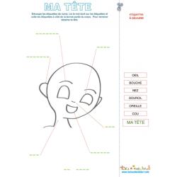 Ma tête, vocabulaire de la tête