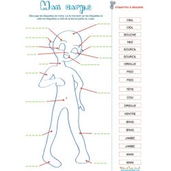 Mon corps, activité avec étiquettes de noms