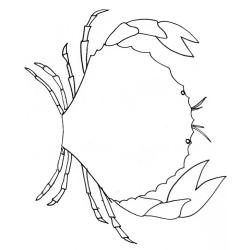 coloriage d'un crabe