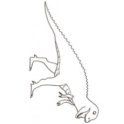 coloriage d'un tyrannosaure rex