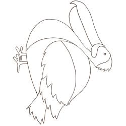 Coloriage dodo