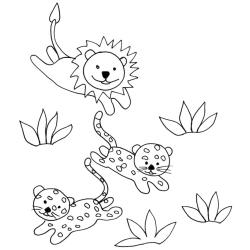 coloriage de petits félins