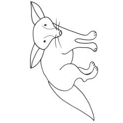 coloriage d'un fennec