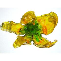 Fleur de Venise jaune 