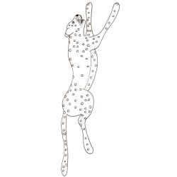 coloriage d'un guépard