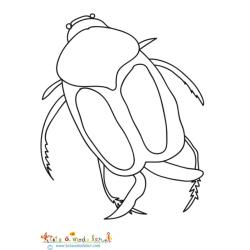 Coloriage d'un hanneton