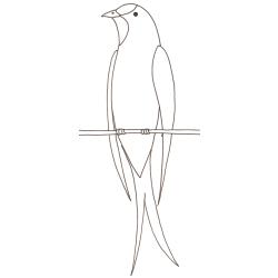 coloriage d'une hirondelle