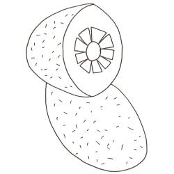 coloriage d'un kiwi