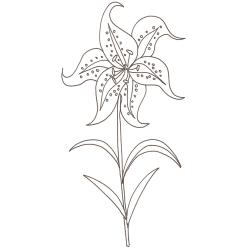 coloriage d'une fleur de lys